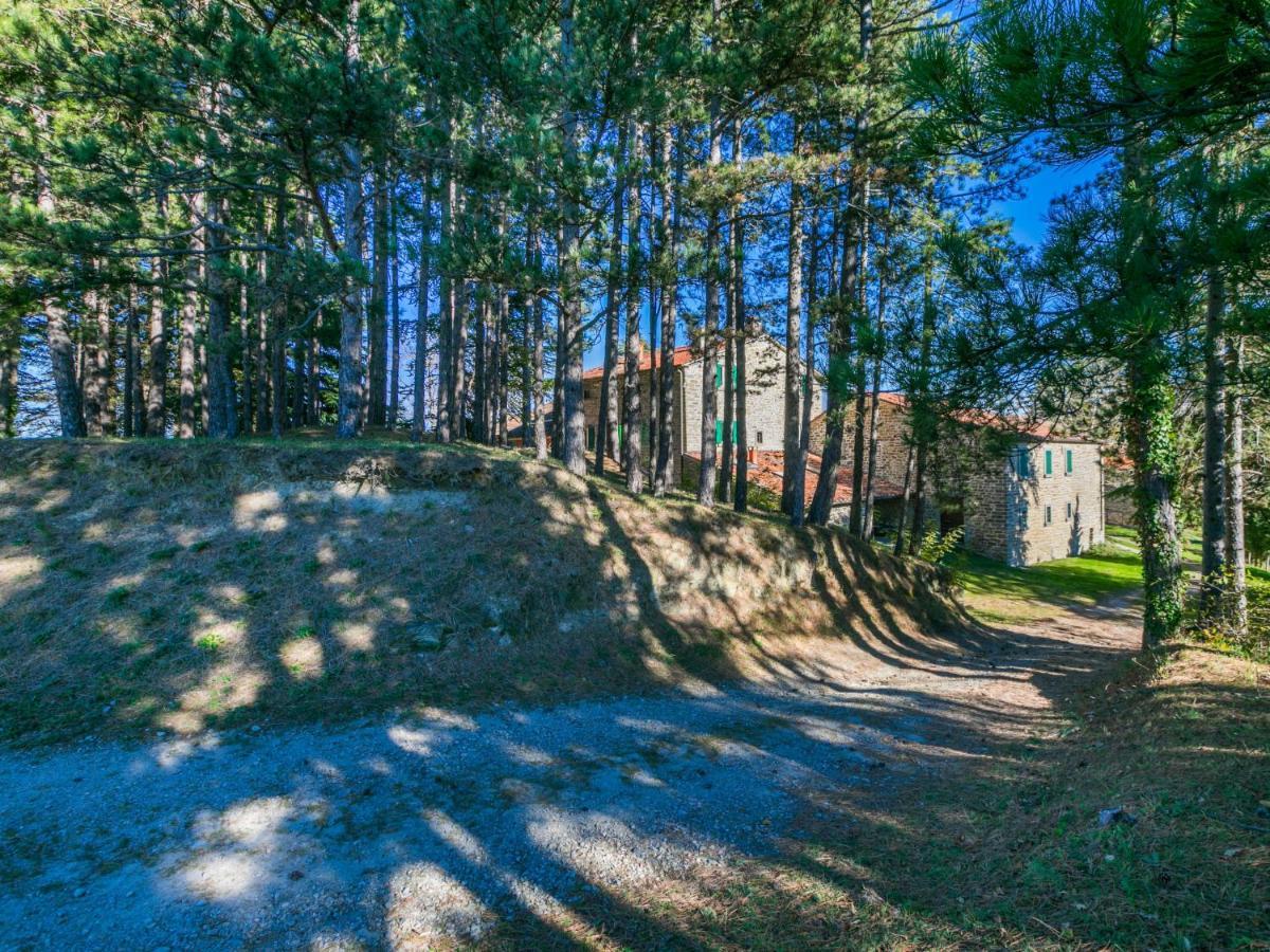 Holiday Home Al Volo Del Nibbio By Interhome Marradi Exteriör bild